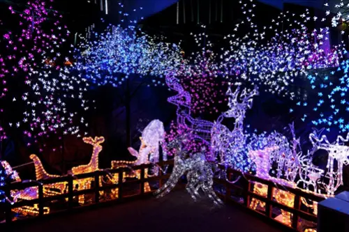 Holiday-Light-Installation-Or-Removal-Services--in-Anaheim-California-holiday-light-installation-or-removal-services-anaheim-california-4.jpg-image
