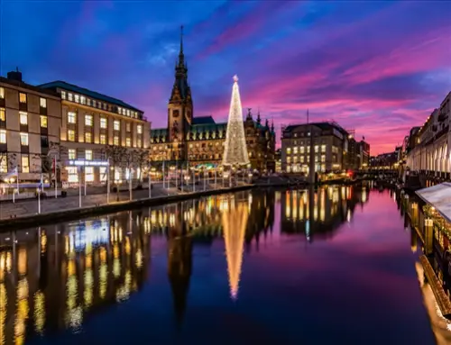 Holiday-Light-Installation-Or-Removal-Services--in-Buffalo-New-York-holiday-light-installation-or-removal-services-buffalo-new-york-2.jpg-image